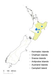 Veronica spathulata distribution map based on databased records at AK, CHR & WELT.
 Image: K.Boardman © Landcare Research 2022 CC-BY 4.0